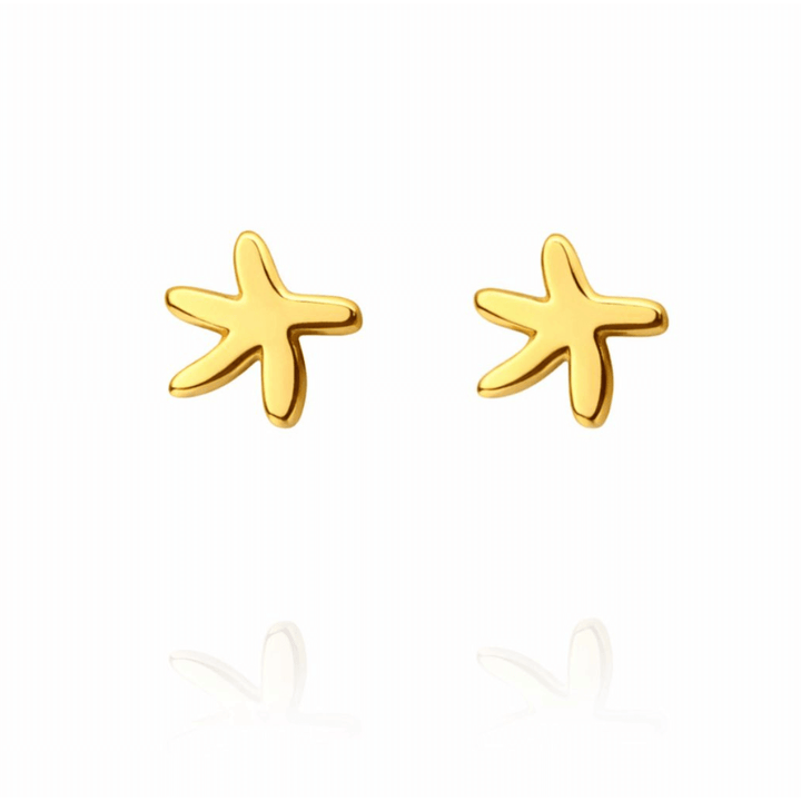 Brinco Estrela dourado semijoia Work Semijoias