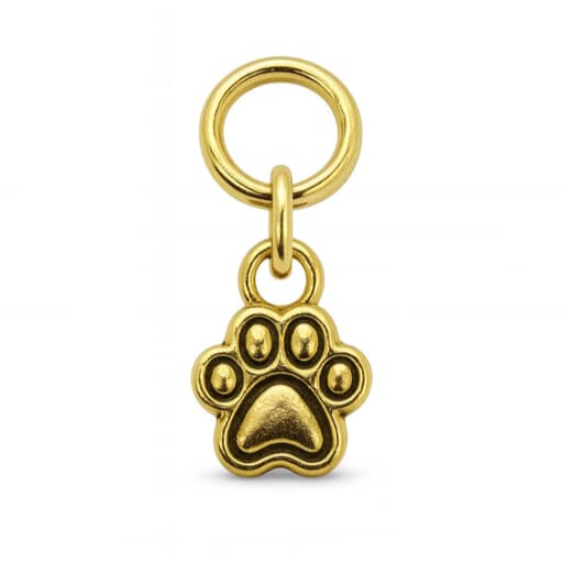 BEOUDOG5