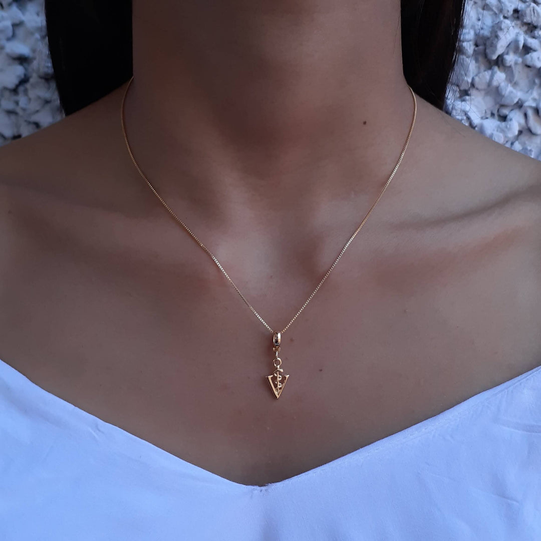 Colar Pingente Profissão Veterinária Banhado a Ouro 18k