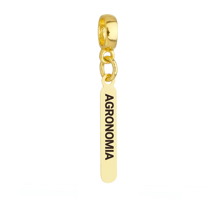 Berloque Plaquinha Agronomia dourado semijoia Work Semijoias